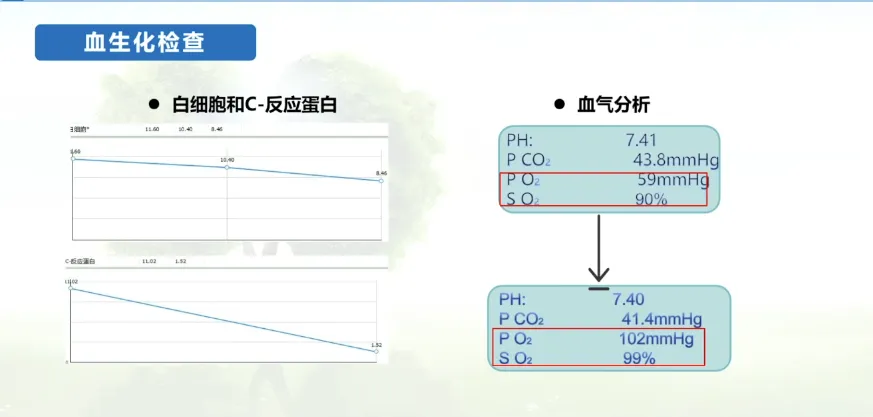 微信图片_20250815102941_42