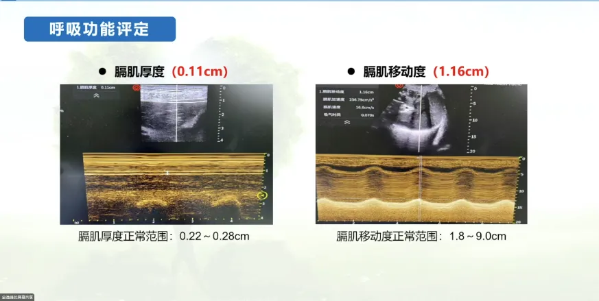 微信图片_20250815102941_34